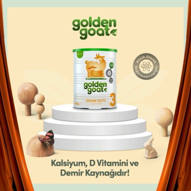 golden goat goats milk