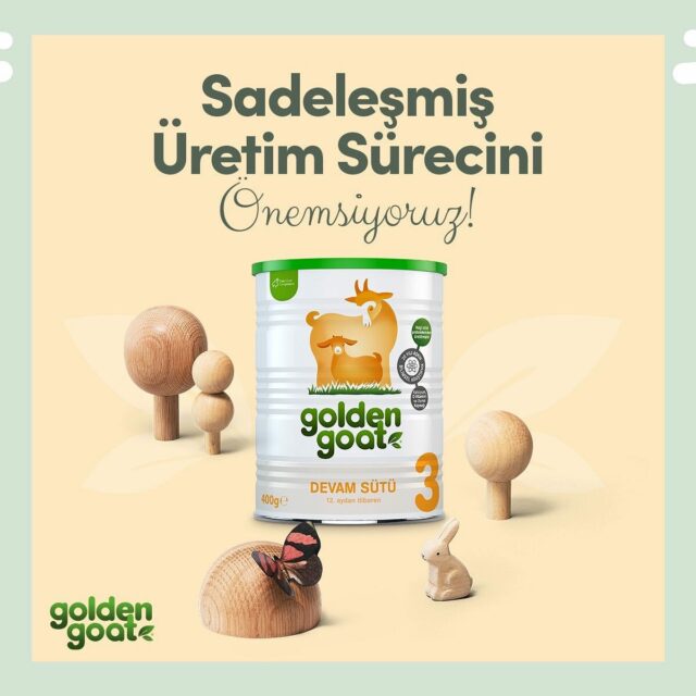 golden goat goats milk
